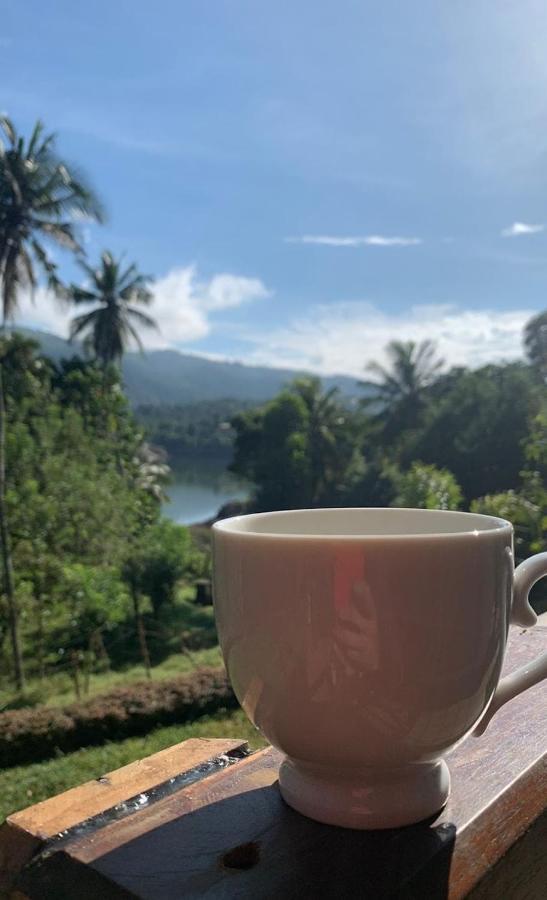 Victoria Views Resort Kandy Digana Exteriér fotografie