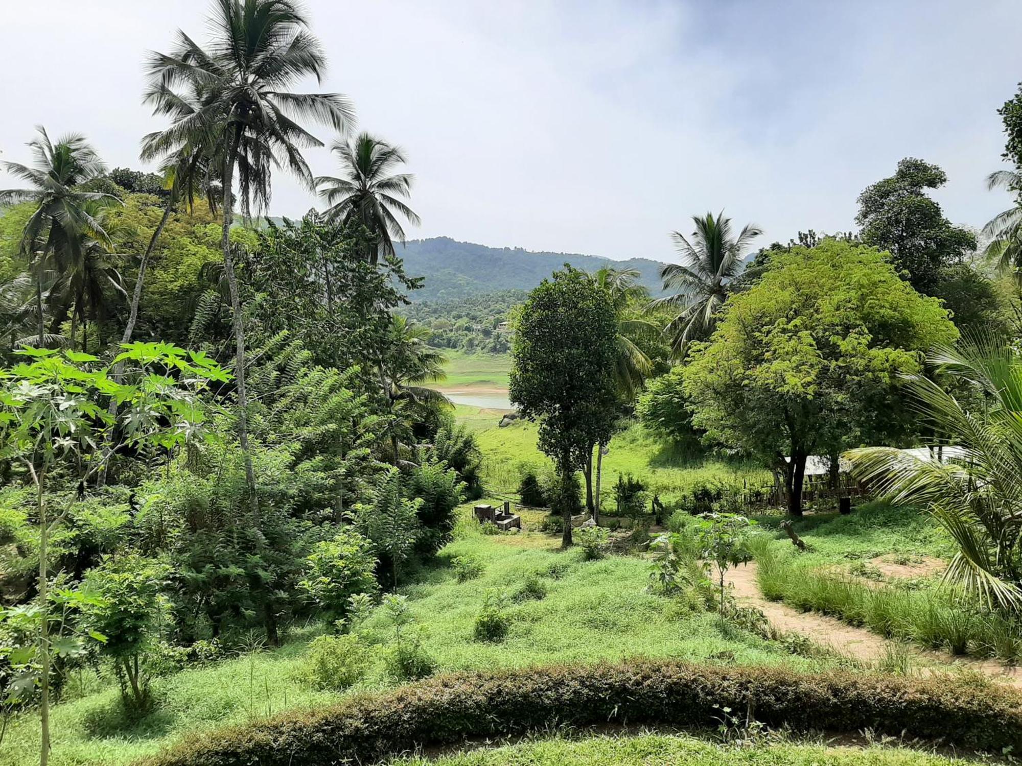 Victoria Views Resort Kandy Digana Exteriér fotografie
